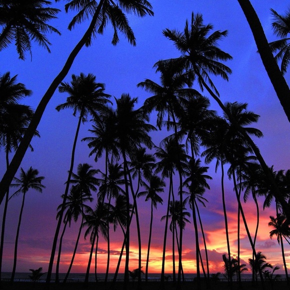 Meet your Posher, Isabelle - Picture 1 of 1